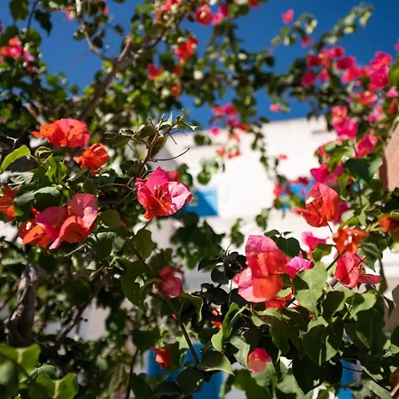 Tatil Evi 21 Aprile - T *