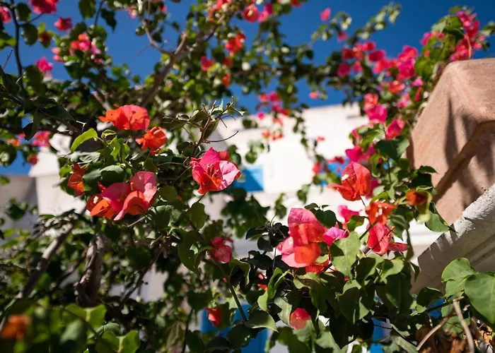 Tatil Evi 21 Aprile - T *